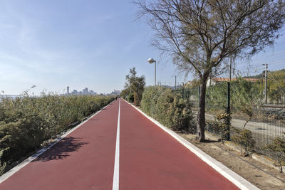 Empty road amidst trees against sky