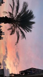 Low angle view of silhouette palm trees against sky during sunset