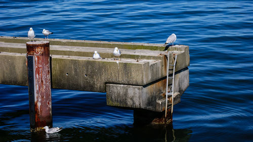 Close-up of wooden post in water