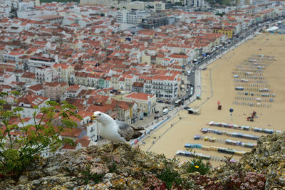 High angle view of buildings in town