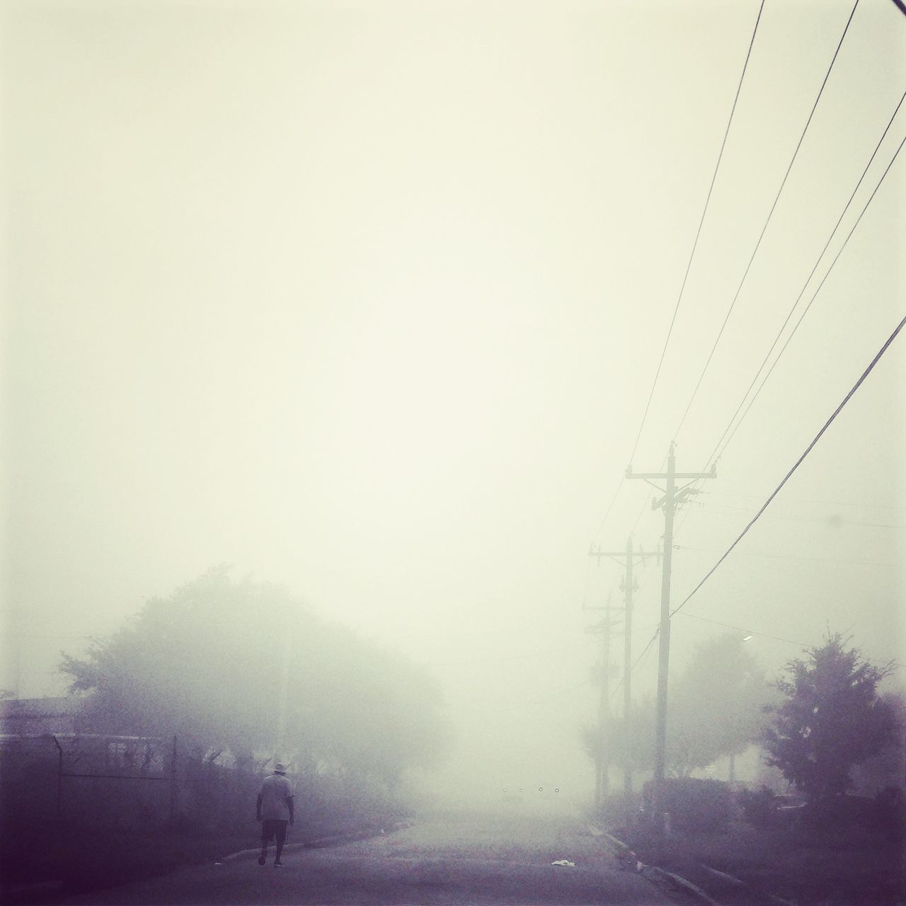 fog, foggy, weather, transportation, power line, electricity pylon, connection, cable, copy space, silhouette, tree, road, rain, power supply, sky, nature, day