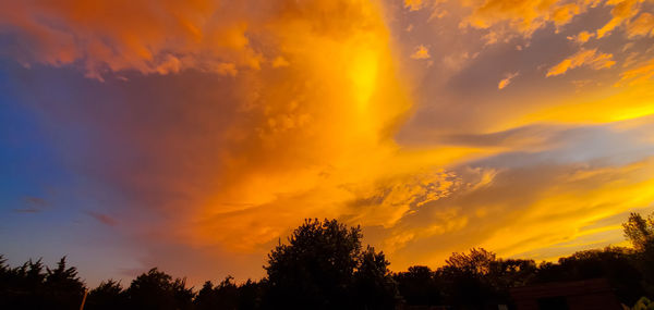 Low angle view of silhouette trees against orange sky