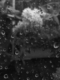 Full frame shot of wet glass window