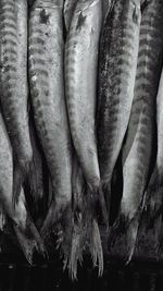 Full frame shot of carrots for sale in market