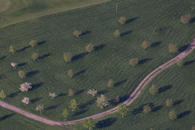 High angle view of agricultural field