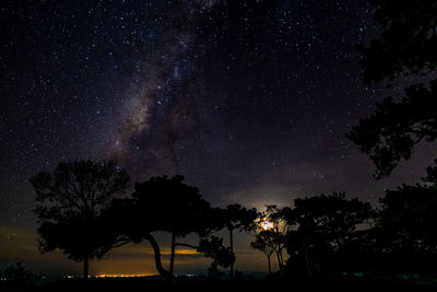 Low angle view of silhouette trees against sky at night