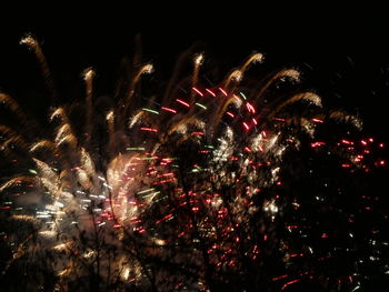 Low angle view of firework display at night
