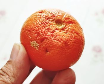 Cropped hand holding orange fruit against white background