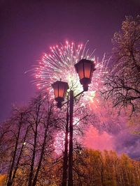 Low angle view of trees against sky at night