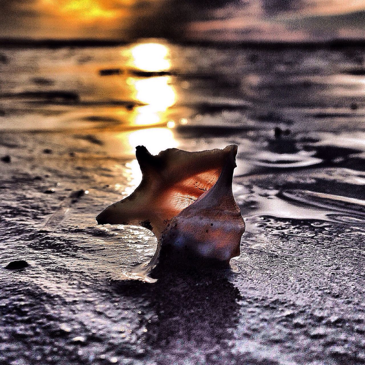 water, reflection, rippled, waterfront, sunset, nature, tranquility, sunlight, close-up, beauty in nature, outdoors, no people, natural pattern, surface level, lake, orange color, sun, sea, dusk, wet