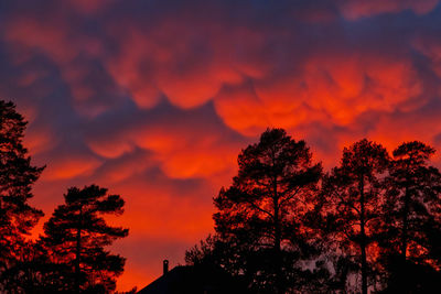 Low angle view of silhouette trees against orange sky