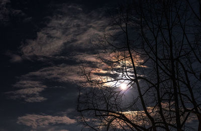 Low angle view of bare trees against sky