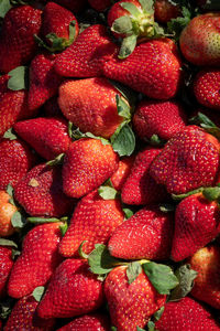 Full frame shot of strawberries