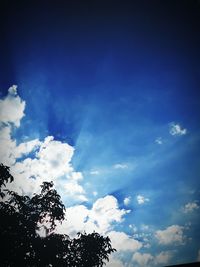 Low angle view of trees against cloudy sky