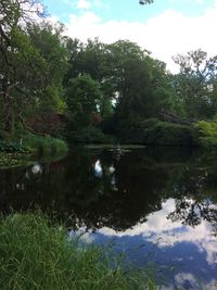 Scenic view of lake in forest against sky