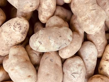 A large group of potatoes 