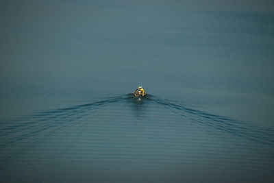 Aerial view of a boat on the river