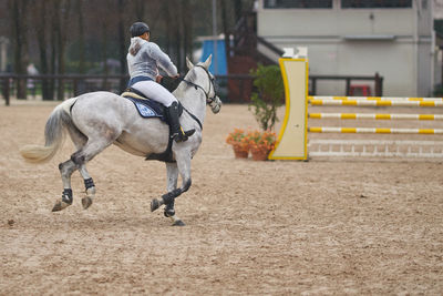 Man riding horse running