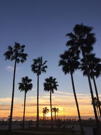 Silhouette of palm trees at beach during sunset