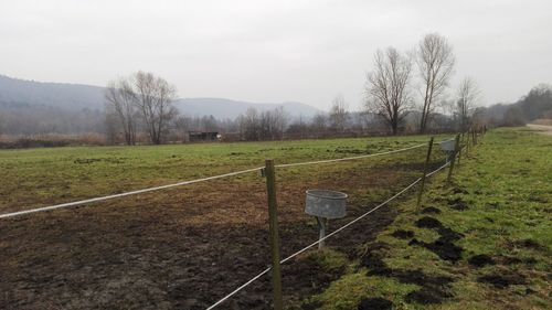 Scenic view of field against sky