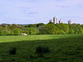 View of trees and buildings against cloudy sky