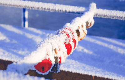 Close-up of snow in swimming pool