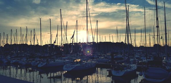 Sailboats moored in harbor at sunset