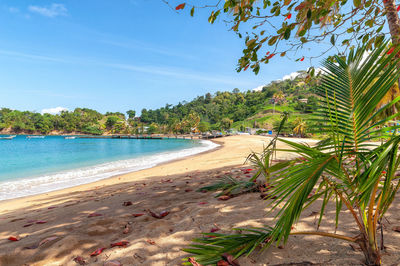 Scenic view of beach against sky