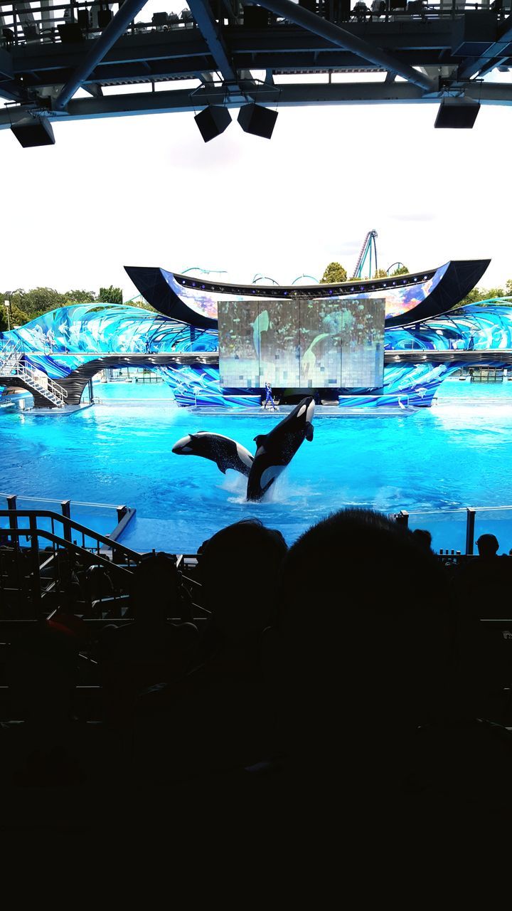 MAN SWIMMING IN SEA SEEN THROUGH AQUARIUM