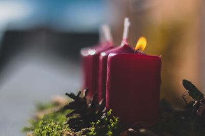 Close-up of burning candles