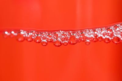 Close-up of water drop against red background