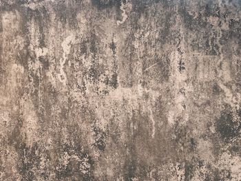 Full frame shot of weathered wall