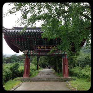 Walkway along trees