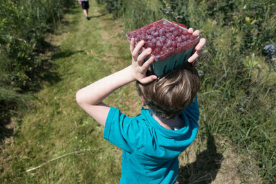 High angle view of boy holding fruit on grass