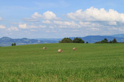 Hay bales on field against sky