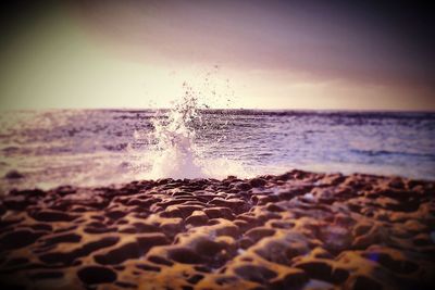 Scenic view of sea at sunset