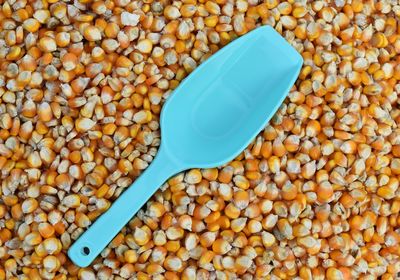 Full frame shot of bread