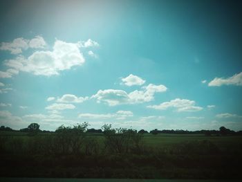 Scenic view of field against sky