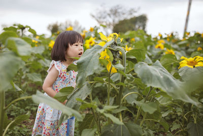 Cute girl looking at sunflower in park