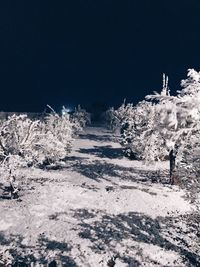 Snow covered field against clear sky at night
