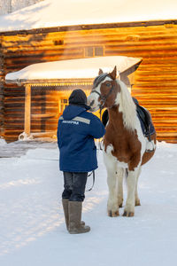 Horse standing on snow covered field