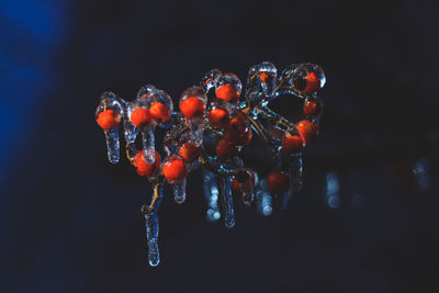 Close-up of water over black background