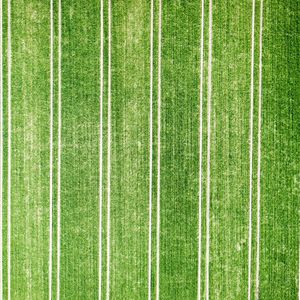 Full frame shot of soccer field