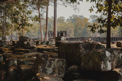Panoramic view of temple against trees and building