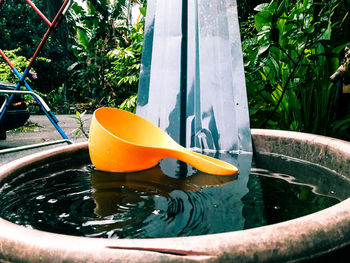 Close-up of yellow floating on water