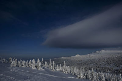 Sunny winter morning in the mountains of sheregesh on the ski track