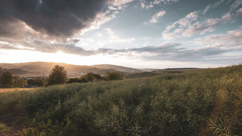 nature