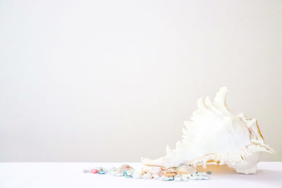 Close-up of ice cream over white background