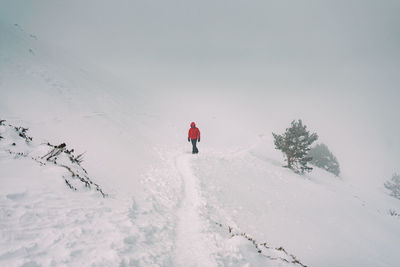 Rear view of person walking on snow covered mountain