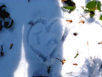 Close-up of snow on field during winter